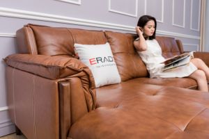 Tên sản phẩm Sofa BF đẹp